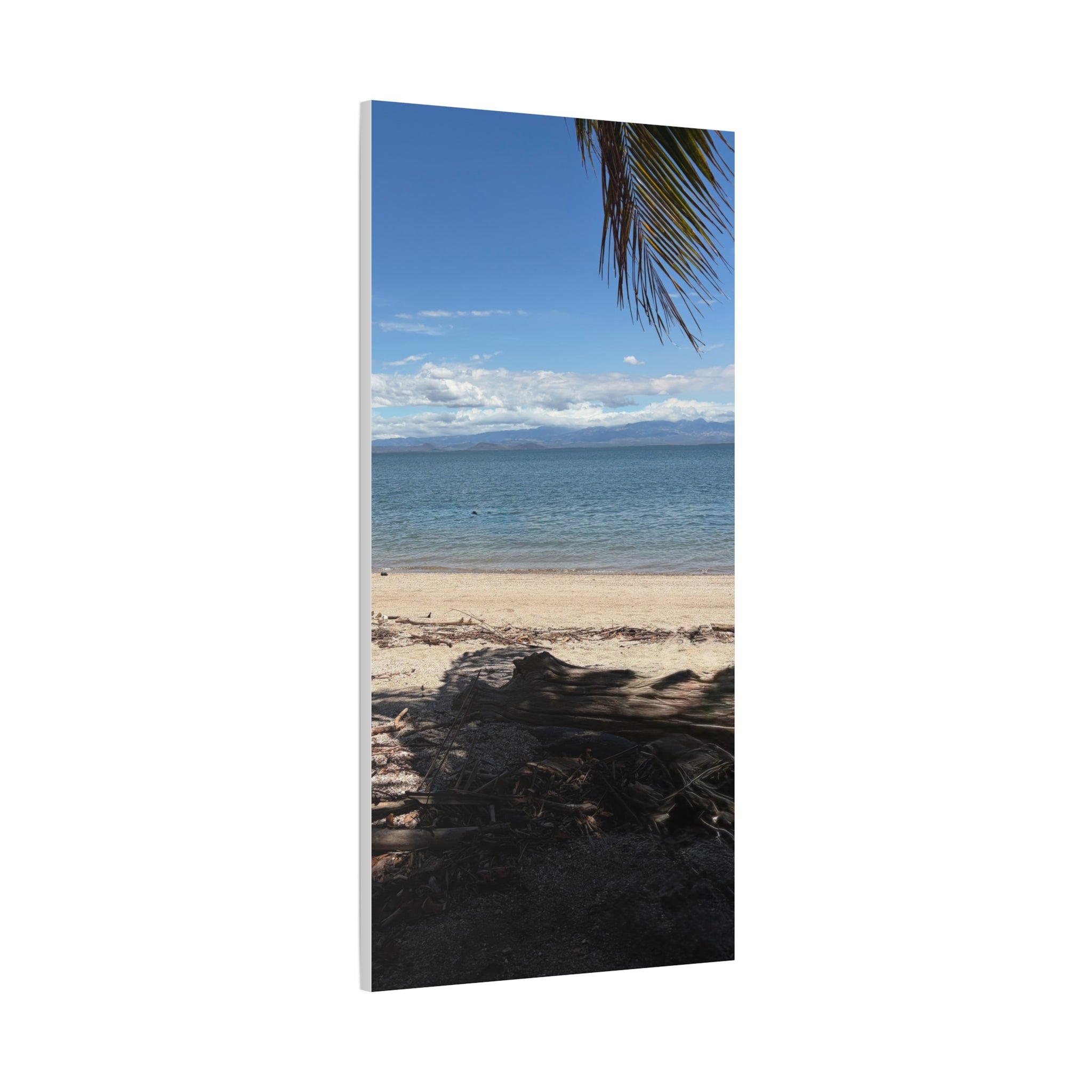 El Golfo - Matte Canvas, Stretched, 1.25"