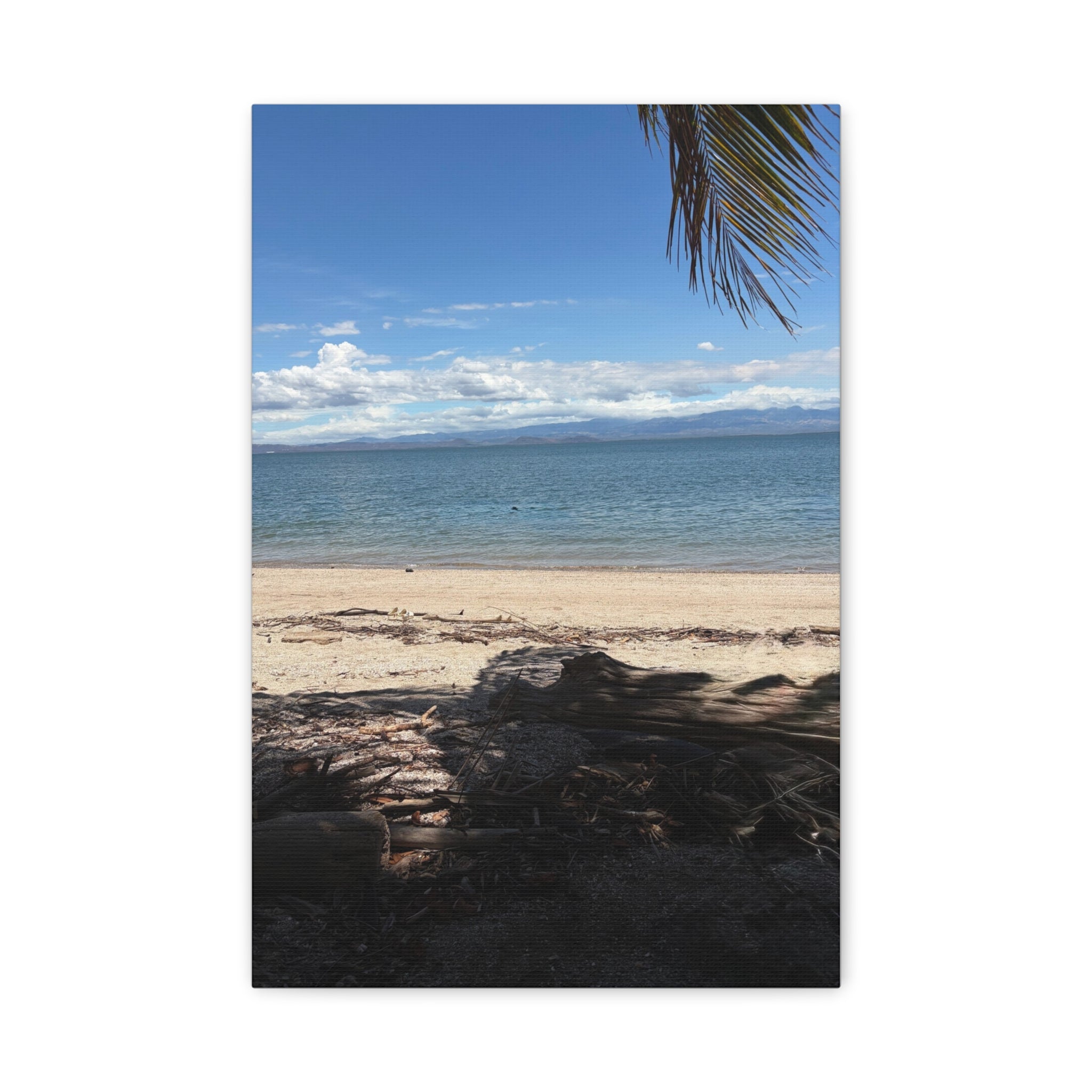 El Golfo - Matte Canvas, Stretched, 1.25"