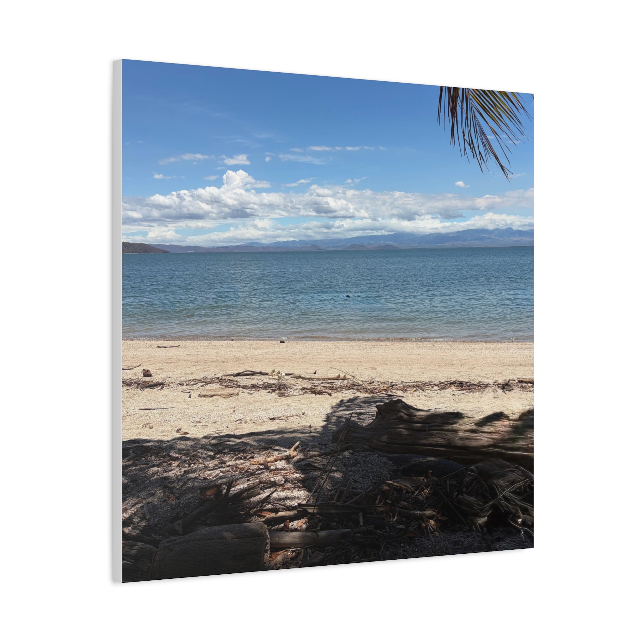 El Golfo - Matte Canvas, Stretched, 1.25"