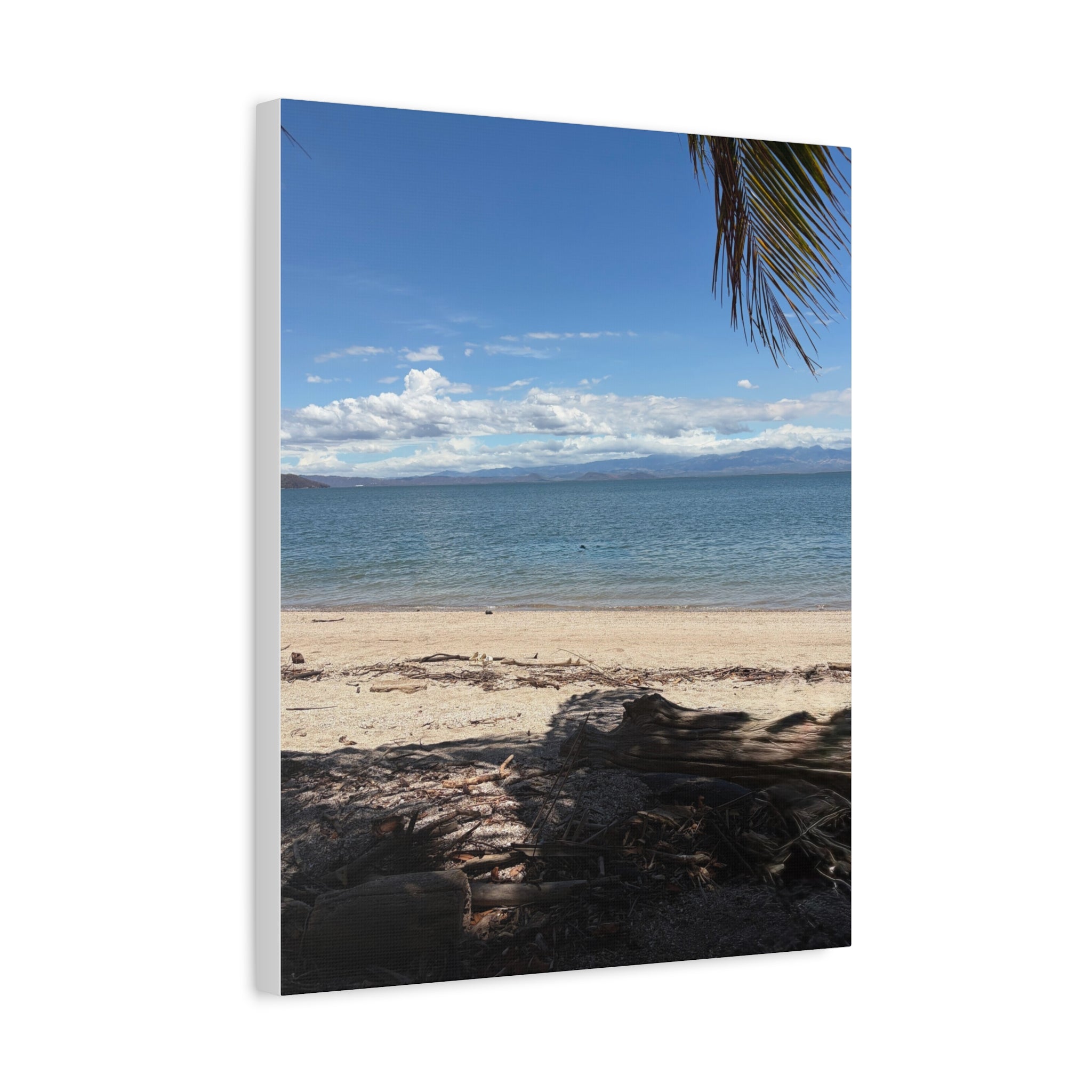 El Golfo - Matte Canvas, Stretched, 1.25"