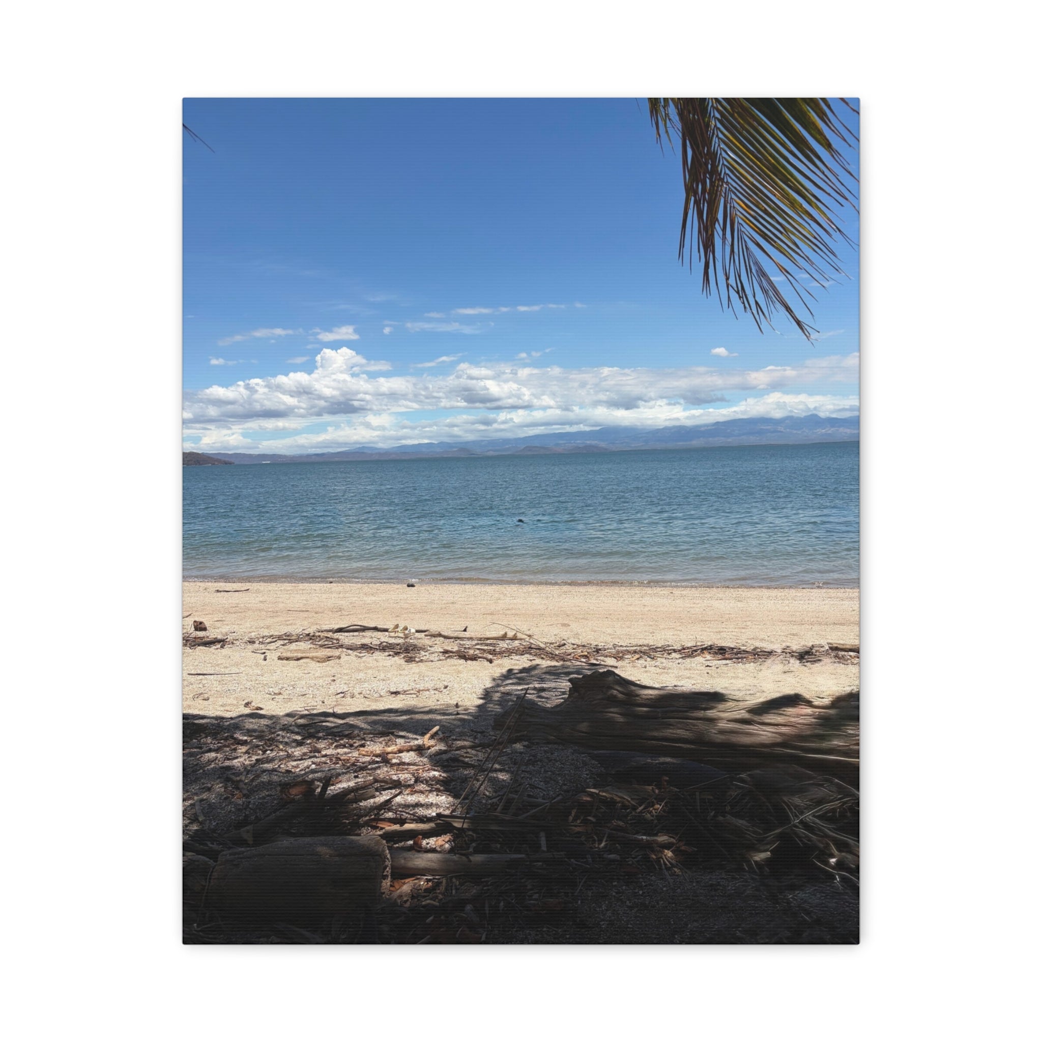El Golfo - Matte Canvas, Stretched, 1.25"