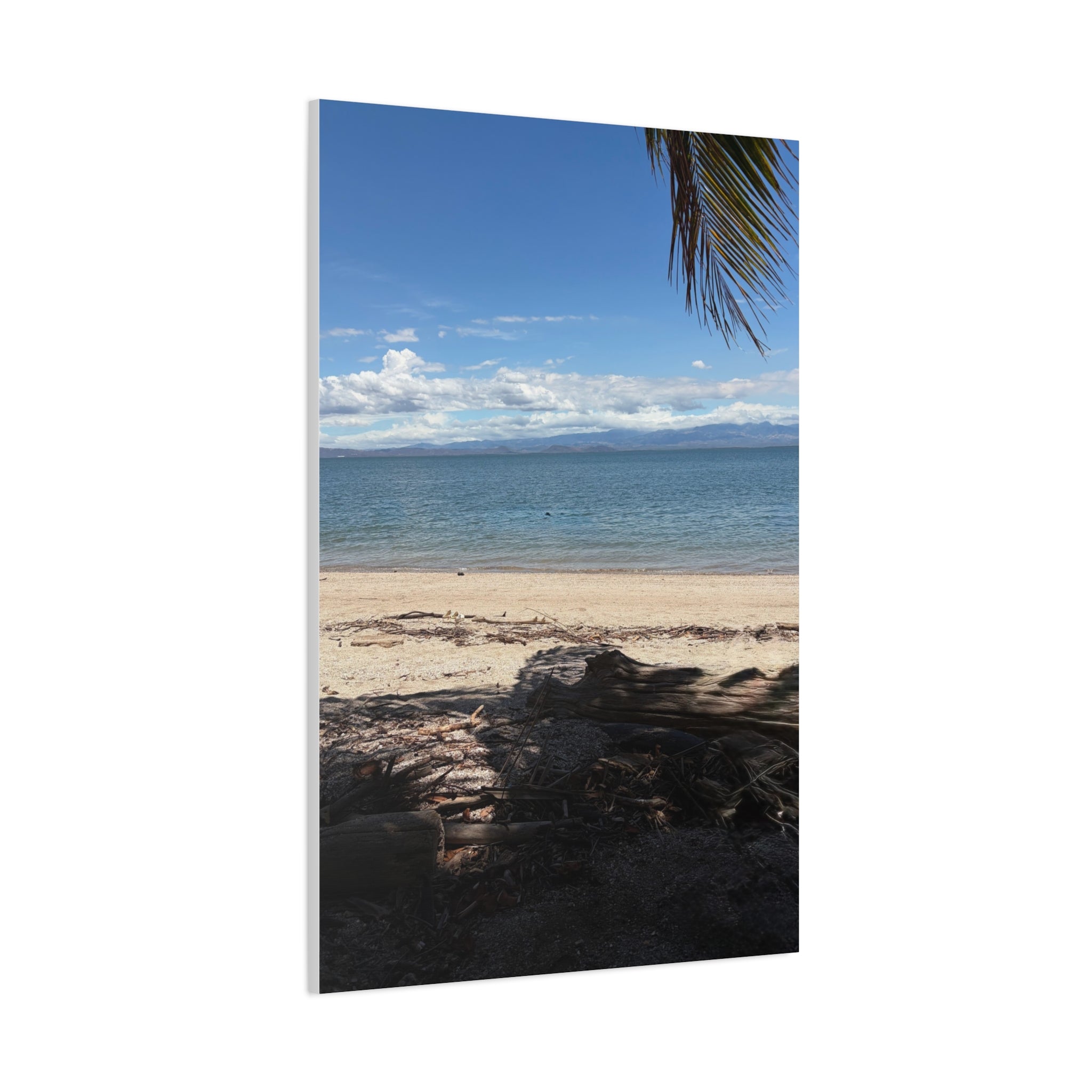 El Golfo - Matte Canvas, Stretched, 1.25"