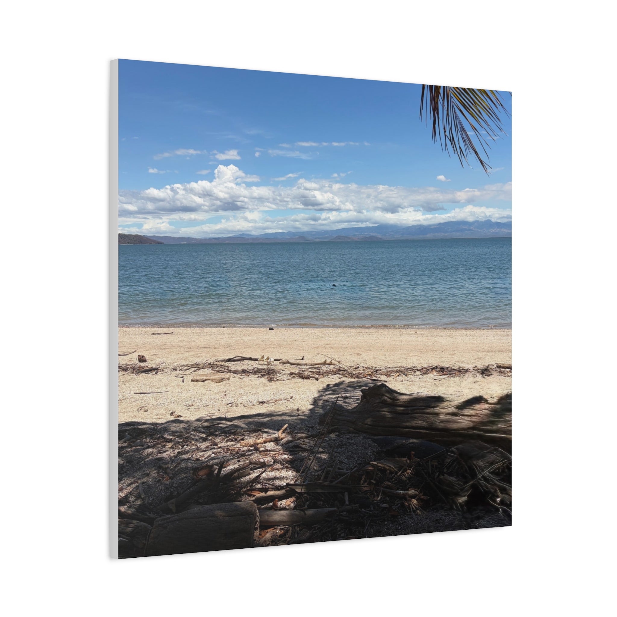 El Golfo - Matte Canvas, Stretched, 1.25"