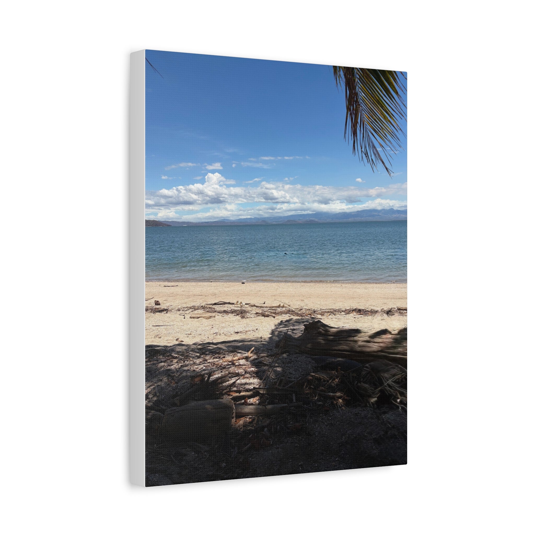 El Golfo - Matte Canvas, Stretched, 1.25"