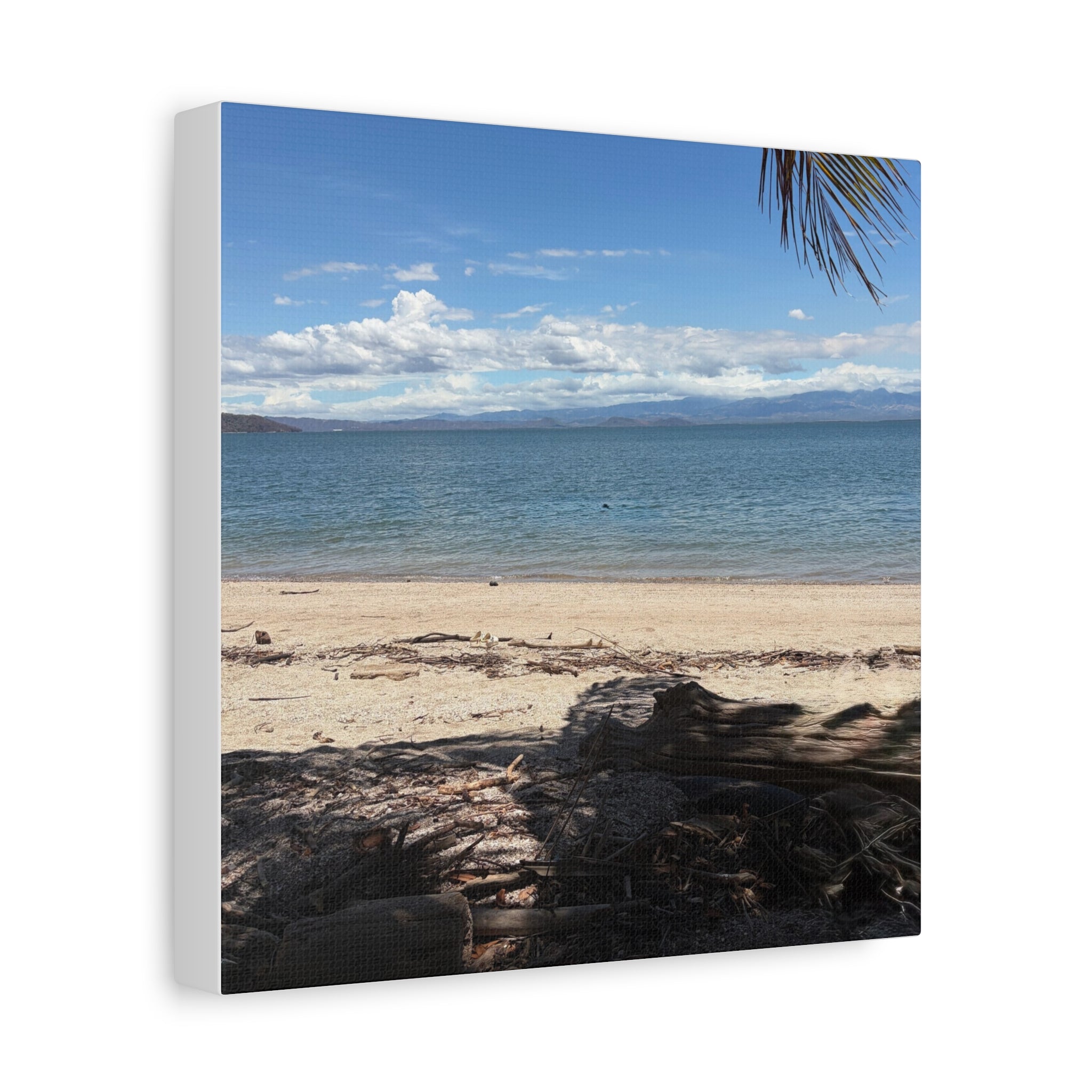 El Golfo - Matte Canvas, Stretched, 1.25"