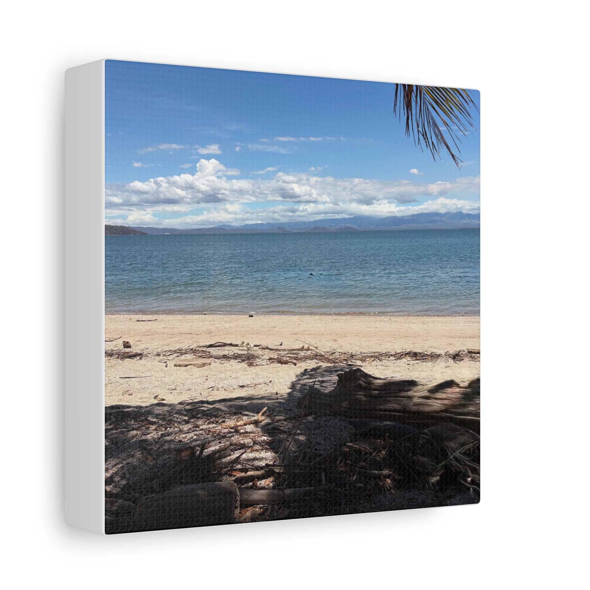 El Golfo - Matte Canvas, Stretched, 1.25"