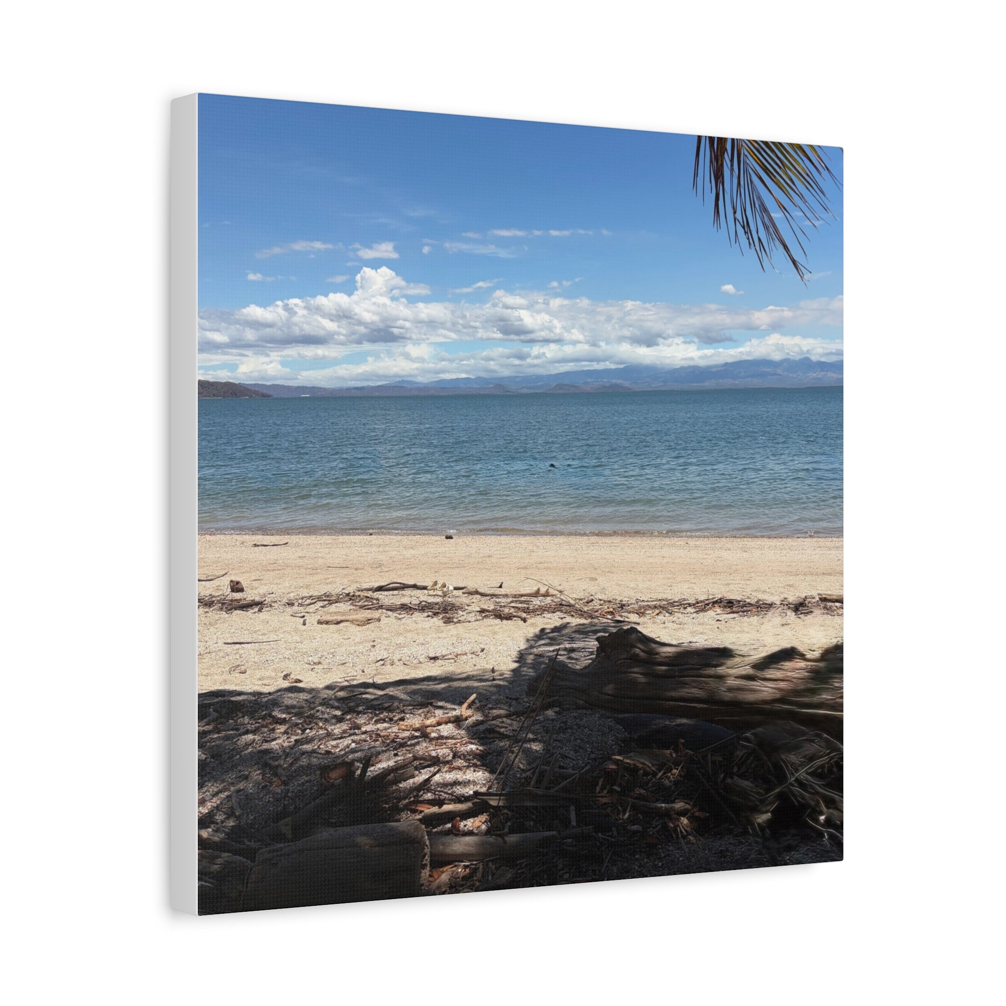 El Golfo - Matte Canvas, Stretched, 1.25"