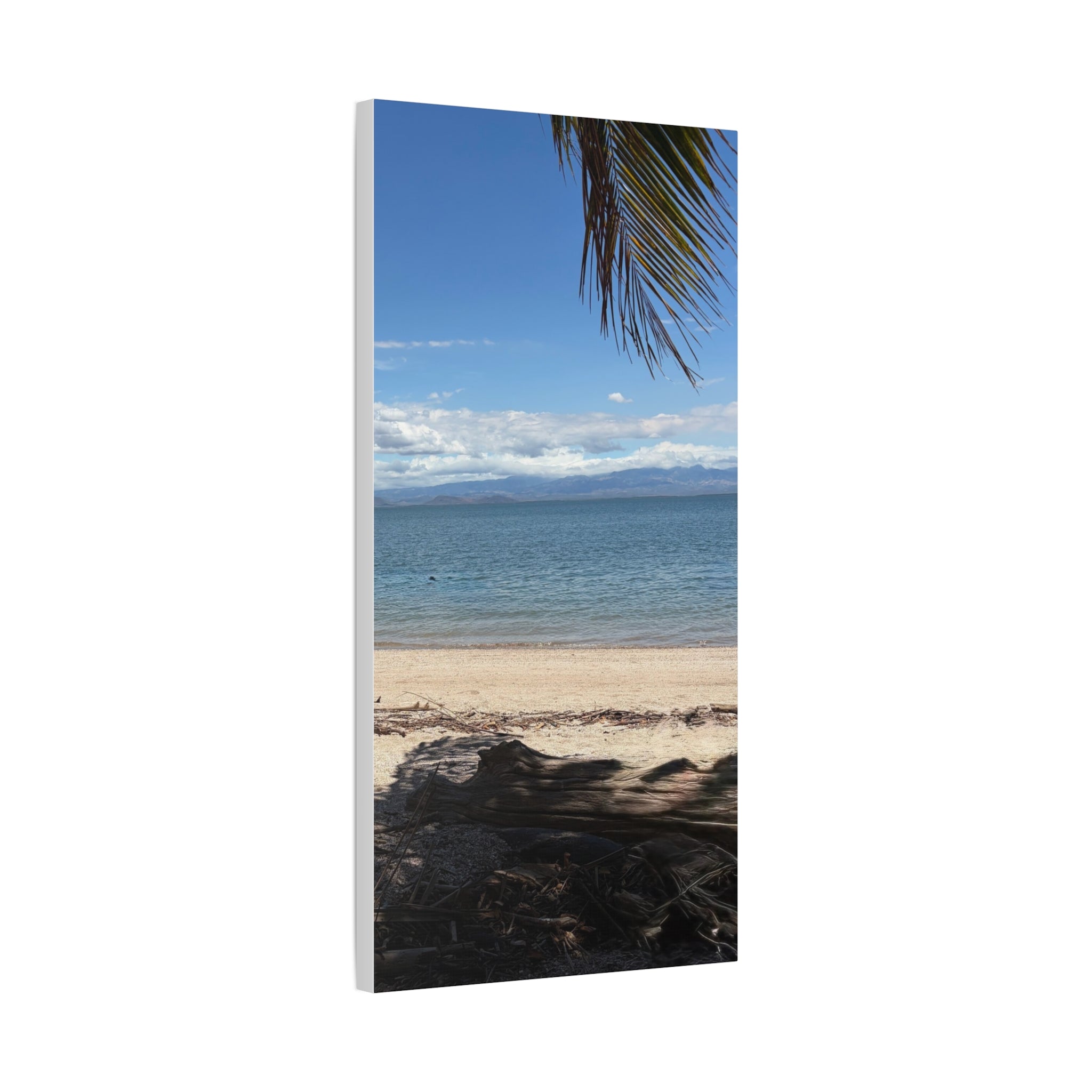 El Golfo - Matte Canvas, Stretched, 1.25"