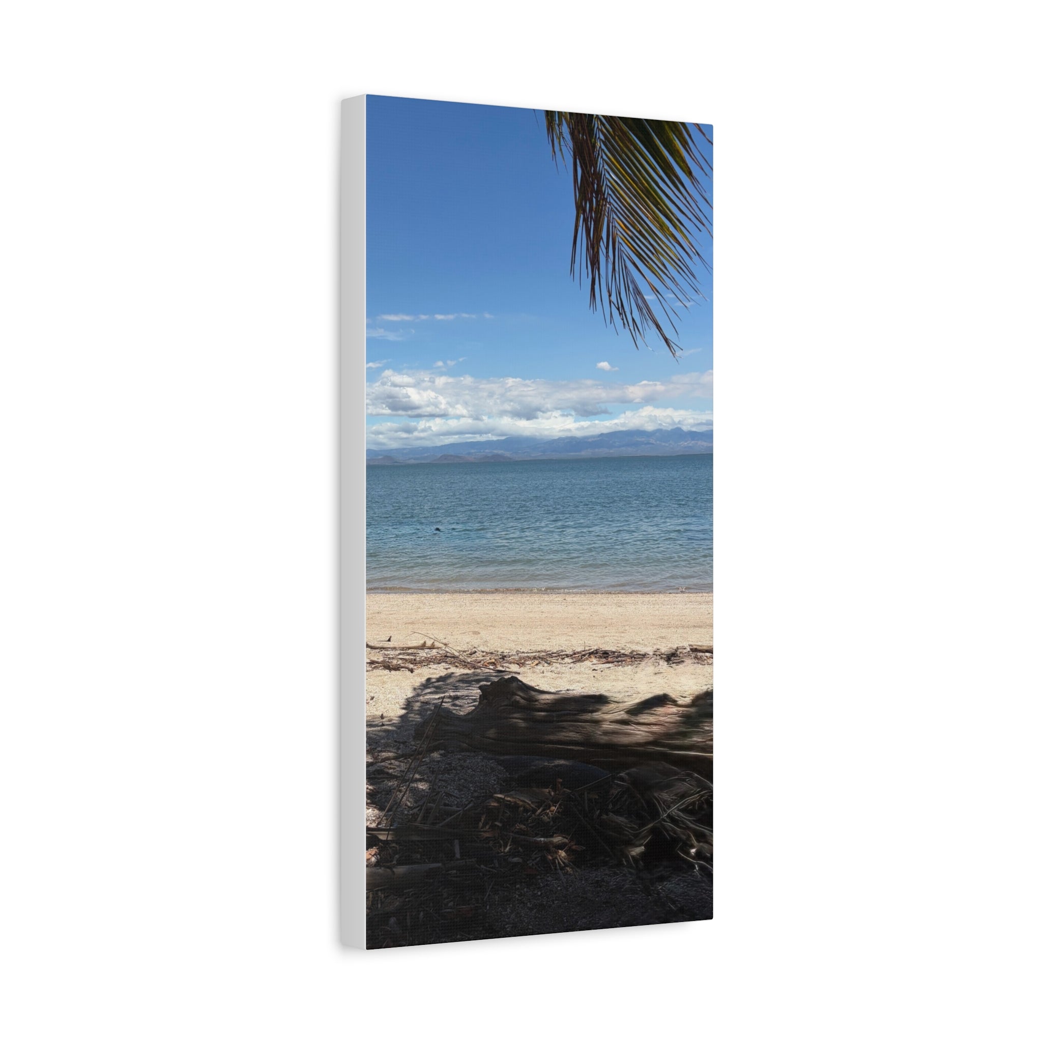 El Golfo - Matte Canvas, Stretched, 1.25"
