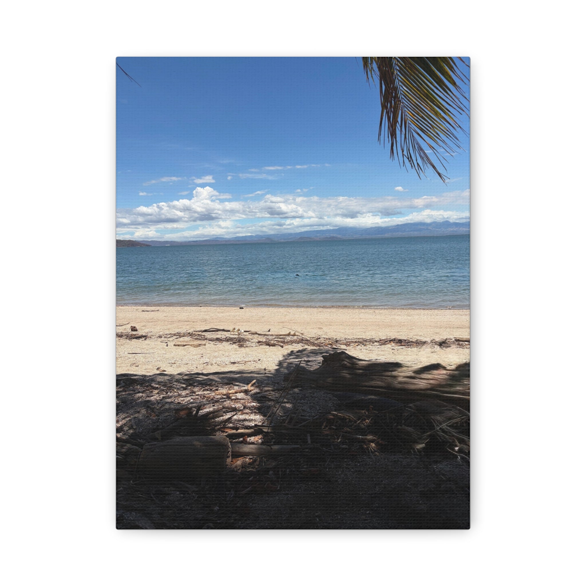 El Golfo - Matte Canvas, Stretched, 1.25"