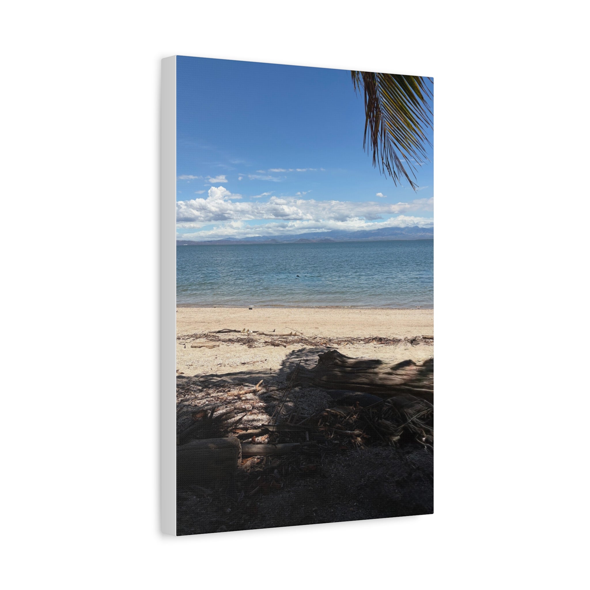 El Golfo - Matte Canvas, Stretched, 1.25"