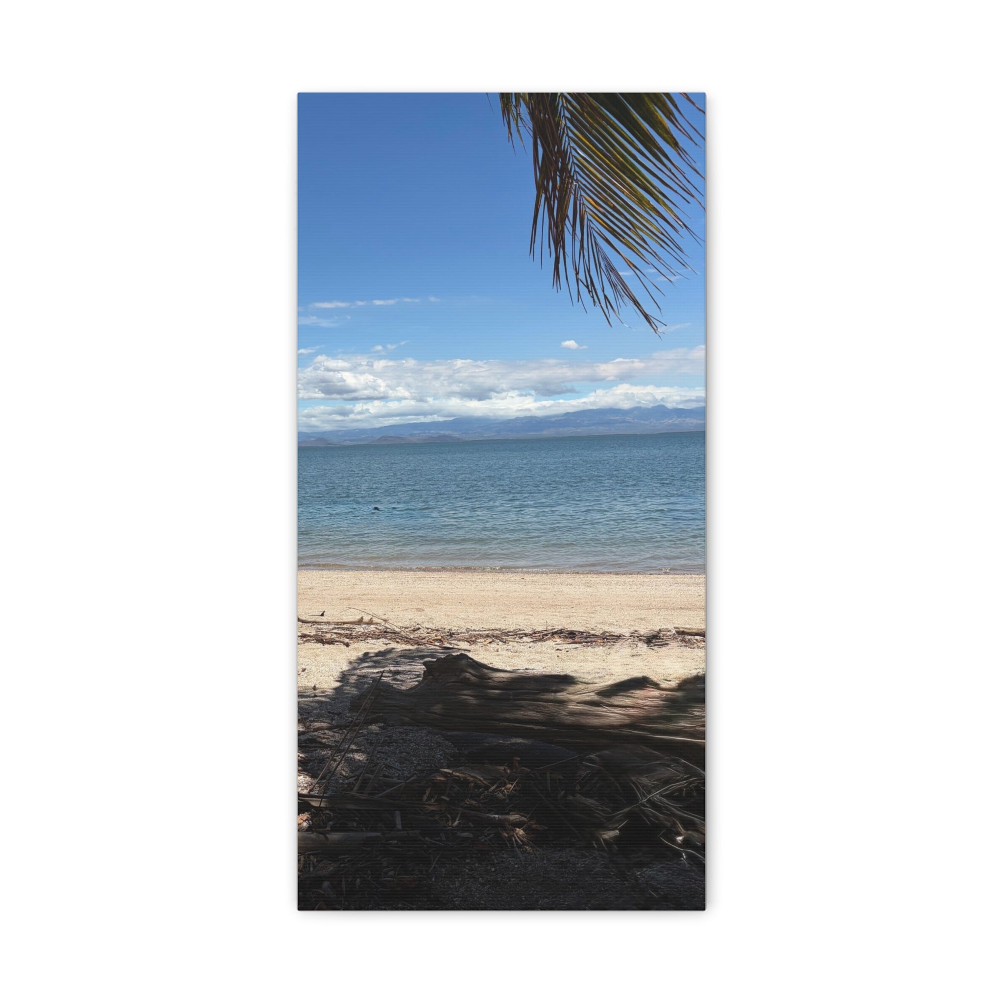 El Golfo - Matte Canvas, Stretched, 1.25"