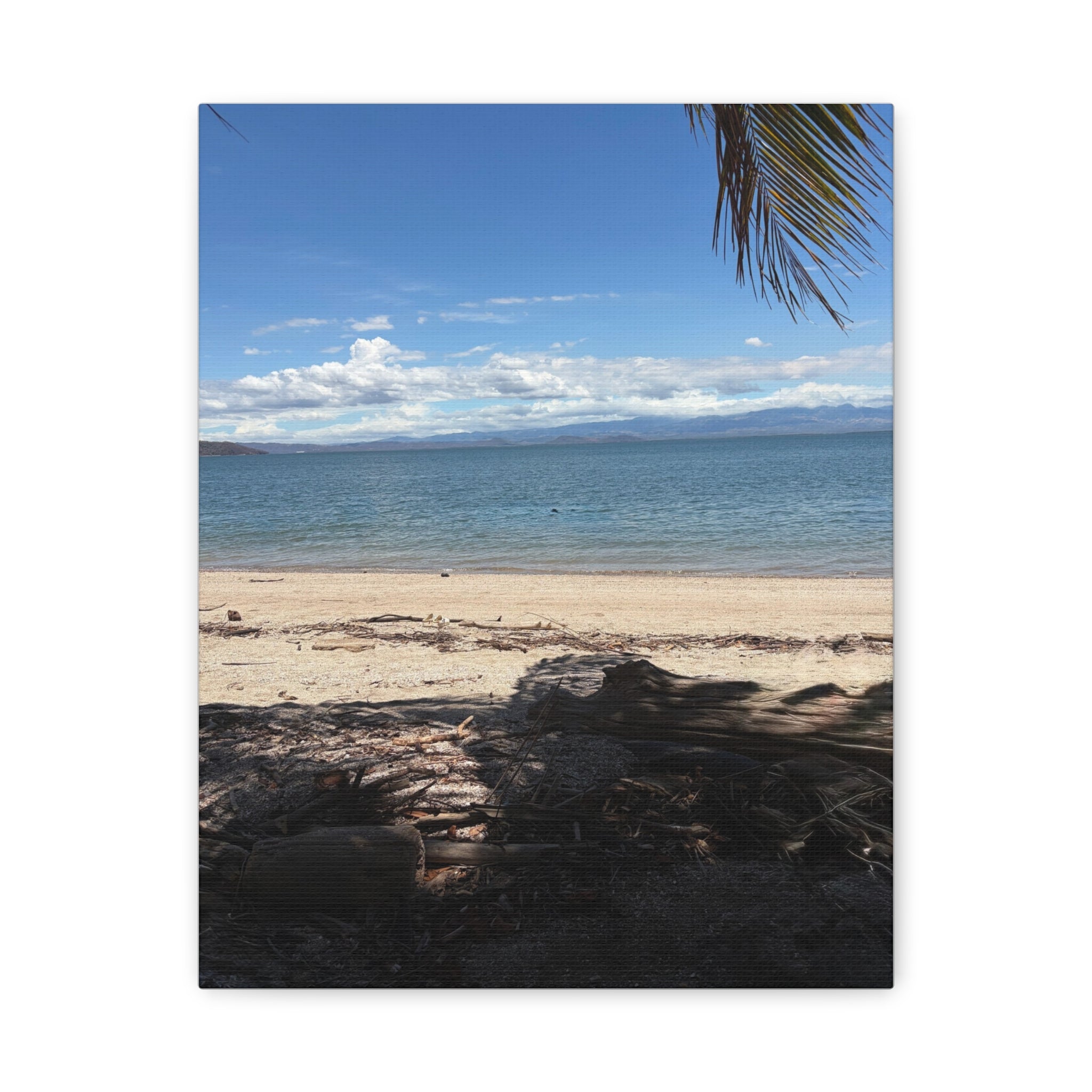 El Golfo - Matte Canvas, Stretched, 1.25"