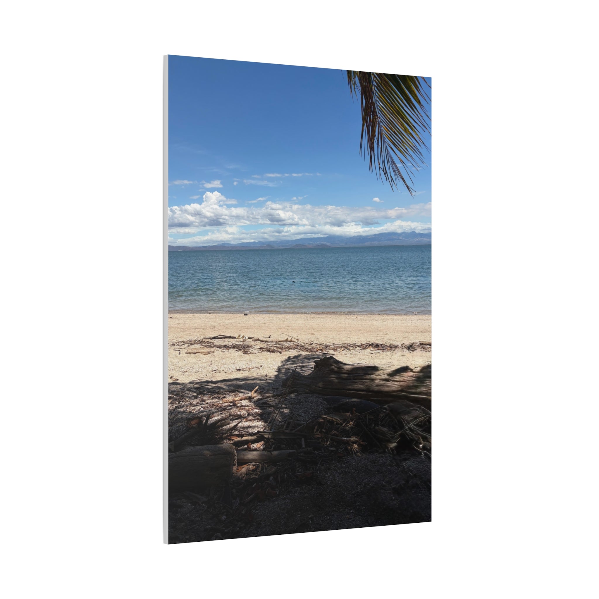 El Golfo - Matte Canvas, Stretched, 1.25"